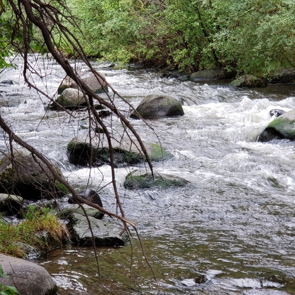melmadden2006